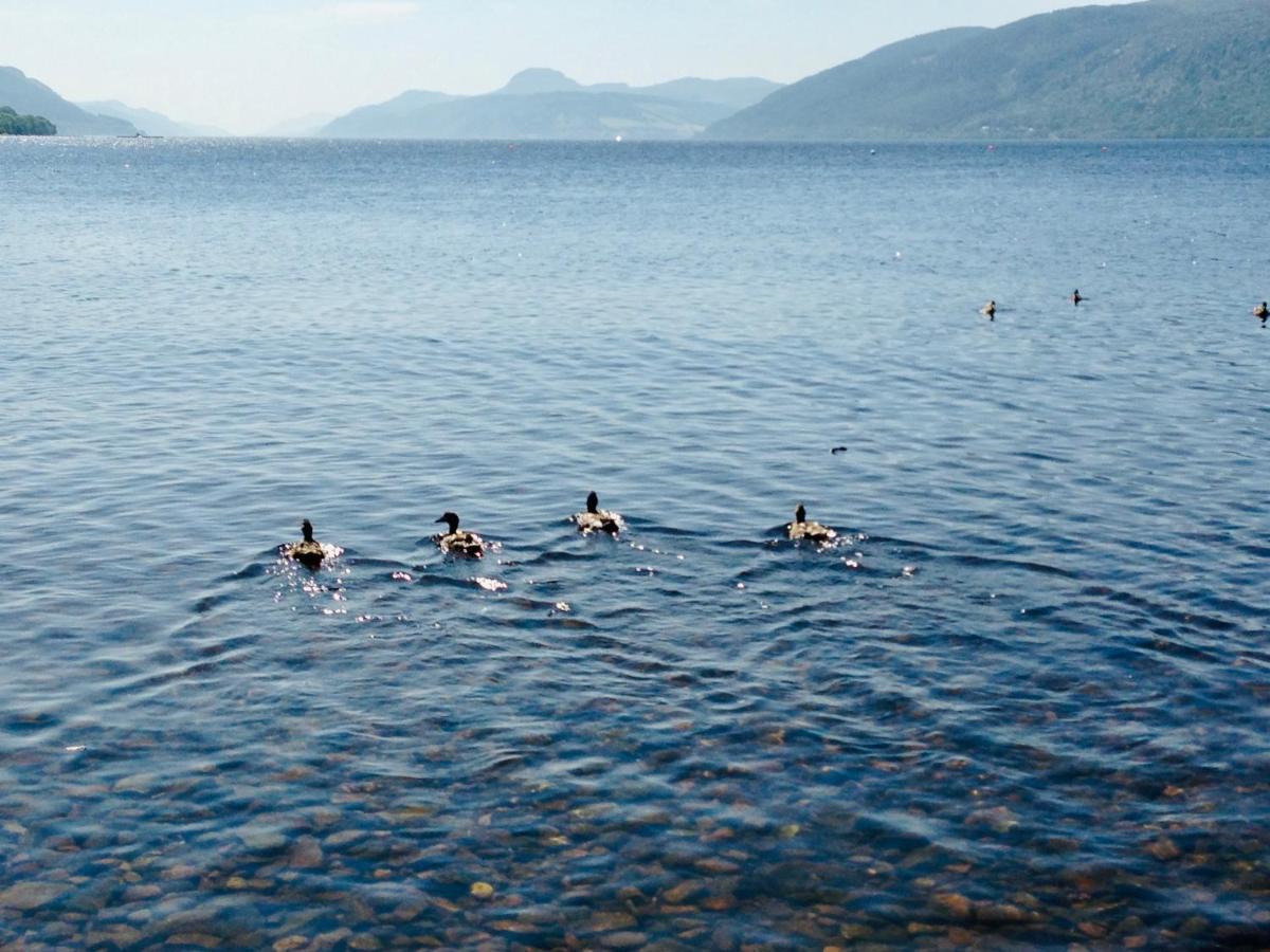 شقة 1 Loch Ness Heights إينفيرنيس المظهر الخارجي الصورة